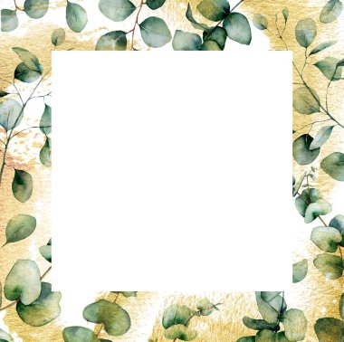 Altın doku ile suluboya okaliptüs kartı. El boyalı okaliptüs dalları ve beyaz arka plan üzerinde izole yaprakları. Tasarım, baskı, kumaş veya arka plan için çiçek illüstrasyonu.