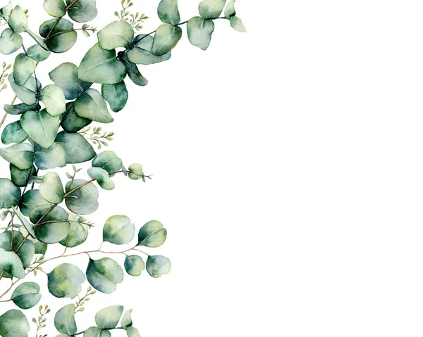 Cartão aquarela com buquê de eucalipto. Ramos de eucalipto pintados à mão e folhas isoladas sobre fundo branco. Ilustração floral para desenho, impressão, tecido ou fundo . — Fotografia de Stock
