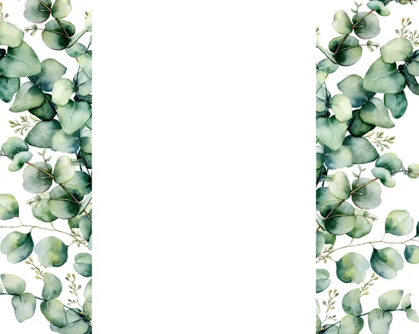 Plantilla de banner de eucalipto acuarela. Rama de eucalipto pintada a mano y hojas aisladas sobre fondo blanco. Ilustración floral para diseño, impresión, tela o fondo . — Foto de Stock