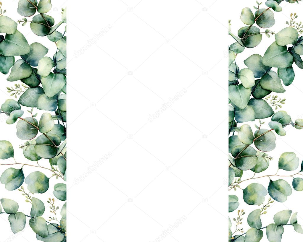Watercolor eucalyptus banner template. Hand painted eucalyptus branch and leaves isolated on white background. Floral illustration for design, print, fabric or background.