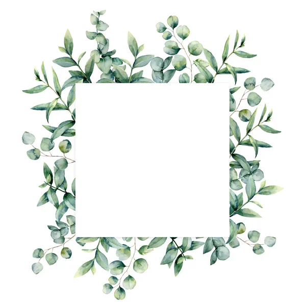 Aquarelle carte carrée invitation eucalyptus. Illustration peinte à la main avec branches d'eucalyptus et feuilles isolées sur fond blanc. Illustration florale pour design, impression, tissu ou fond . — Photo