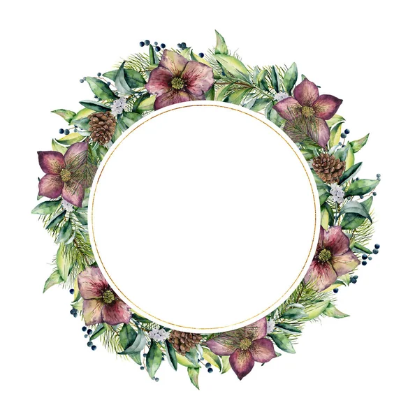 Watercolor Christmas wreath with hellebore flowers. Hand painted Christmas tree branches, cedars with leaves isolated on white background. Floral botanical border for design, background or print. — Stock Photo, Image