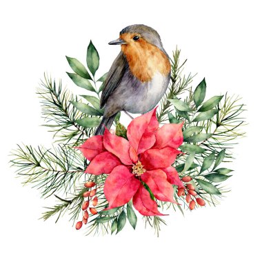 Robin ve çiçek desenli suluboya Noel kartı. El boyalı kuş, noktalı yıldız, böğürtlen, köknar ve okaliptüs dalları beyaz arka planda izole edilmiş. Tasarım, yazdırma veya arkaplan için tatil baskısı.
