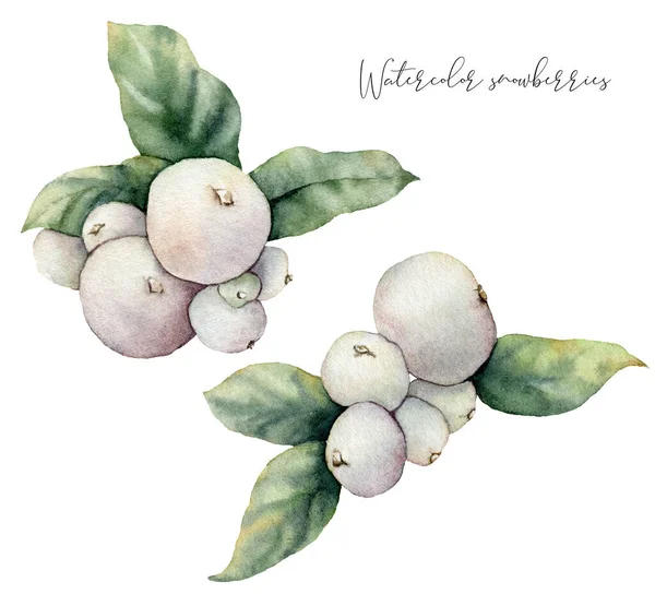 Watercolor snowberry set. Hand painted winter plants with leaves and berries isolated on white background. Floral illustration for design, print, fabric or background. Botanical set. — Stock Photo, Image