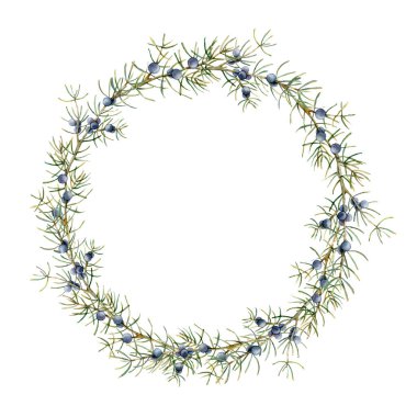 Ardıç dallı suluboya kış çelengi. Beyaz arka planda el boyası böğürtlen ve yapraklar var. Tasarım, baskı veya arkaplan için tatil çiçekleri çizimi.