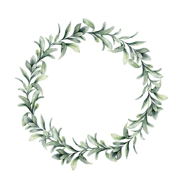 Watercolor winter wreath with lambs ears branch. Hand painted green woolly hedgenettle leaves composition isolated on white background. Holiday floral illustration for design, print or background. — Stock Photo, Image