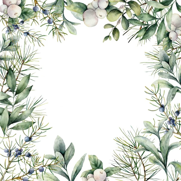 Watercolor winter plants card. Hand painted frame with juniper, snowberry, lambs ears and eucalyptus branch isolated on white background. Floral illustration for design, print, fabric or background. — Stock Photo, Image