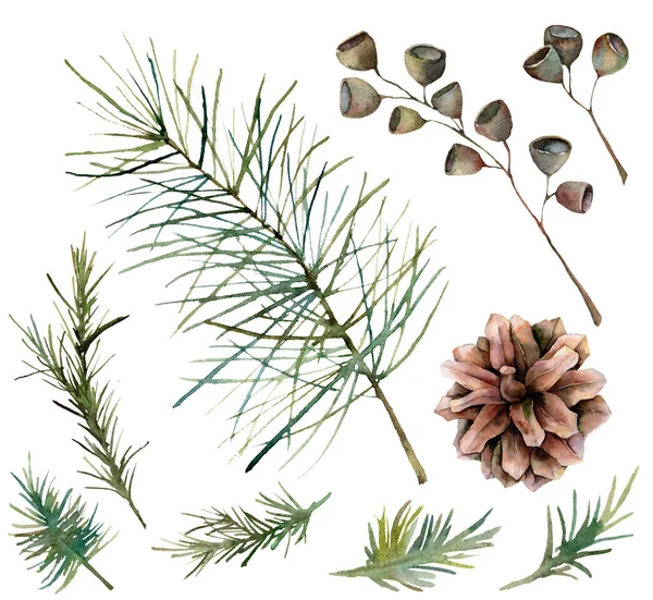 Ensemble botanique aquarelle avec cônes de pin, graines et branches. Plantes de vacances d'hiver peintes à la main isolées sur fond blanc. Illustration florale pour design, impression, tissu ou fond . — Photo