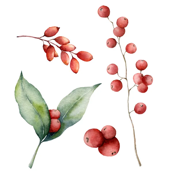 Watercolor red berries set. Hand painted winter plants with leaves, branches and berries isolated on white background. Floral illustration for design, print, fabric or background. Botanical set. — 图库照片