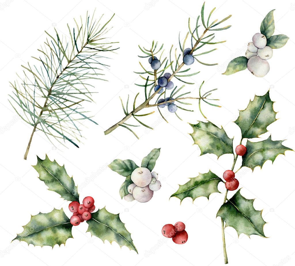 Watercolor berries Christmas seamless pattern. Hand painted holiday plant with holly, mistletoered and juniper isolated on white background. Winter floral illustration for design, print, background.