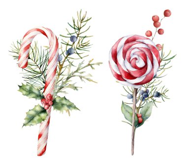 Süslü suluboya Noel şekerlemeleri. El boyası baston, çizgili lolipop, köknar dalı Holly ve ardıç, beyaz arka planda izole edilmiş. Tasarım, baskı, kumaş veya arkaplan için tatlı illüstrasyon.