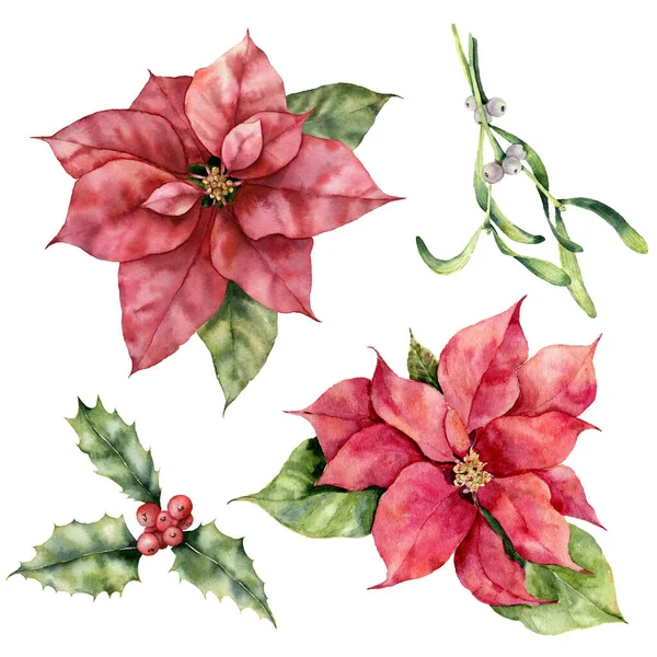 Set de navidad acuarela con poinsettia, acebo y muérdago. Planta de vacaciones pintada a mano con bayas aisladas sobre fondo blanco. Ilustración botánica de invierno para diseño, impresión o fondo —  Fotos de Stock