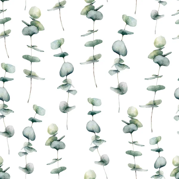Wzór bezszwowy akwarela z błękitnym eukaliptusem dziecka. Ręcznie malowane okrągłe liście eukaliptusa i gałąź odizolowane na białym tle. Ilustracja kwiatowa do projektowania, druku, tkaniny lub tła. — Zdjęcie stockowe
