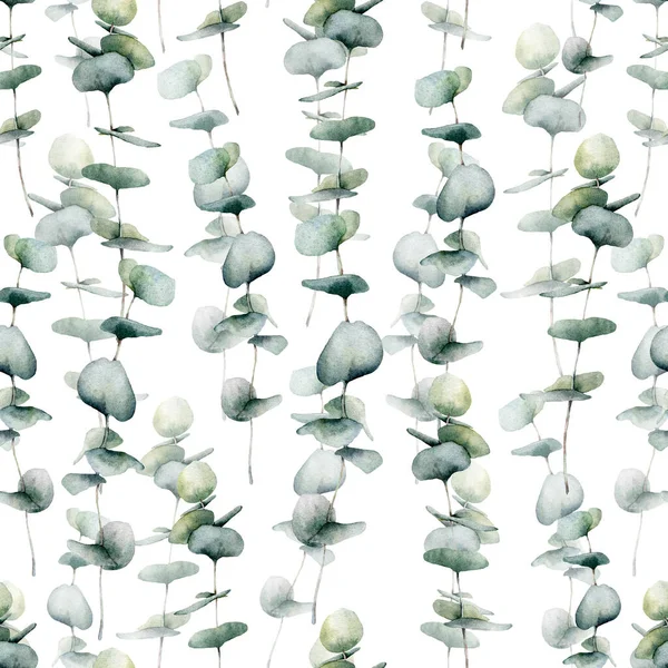 Wzór bezszwowy akwarela z dużym niebieskim eukaliptusem dziecka. Ręcznie malowane okrągłe liście eukaliptusa i gałąź odizolowane na białym tle. Ilustracja kwiatowa do projektowania, druku, tkaniny lub tła. — Zdjęcie stockowe