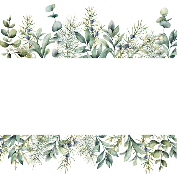 Watercolor Christmas plants banner. Hand painted juniper, snowberry, fir and eucalyptus branch isolated on white background. Floral illustration for design, print, fabric or background. — Stock Photo, Image