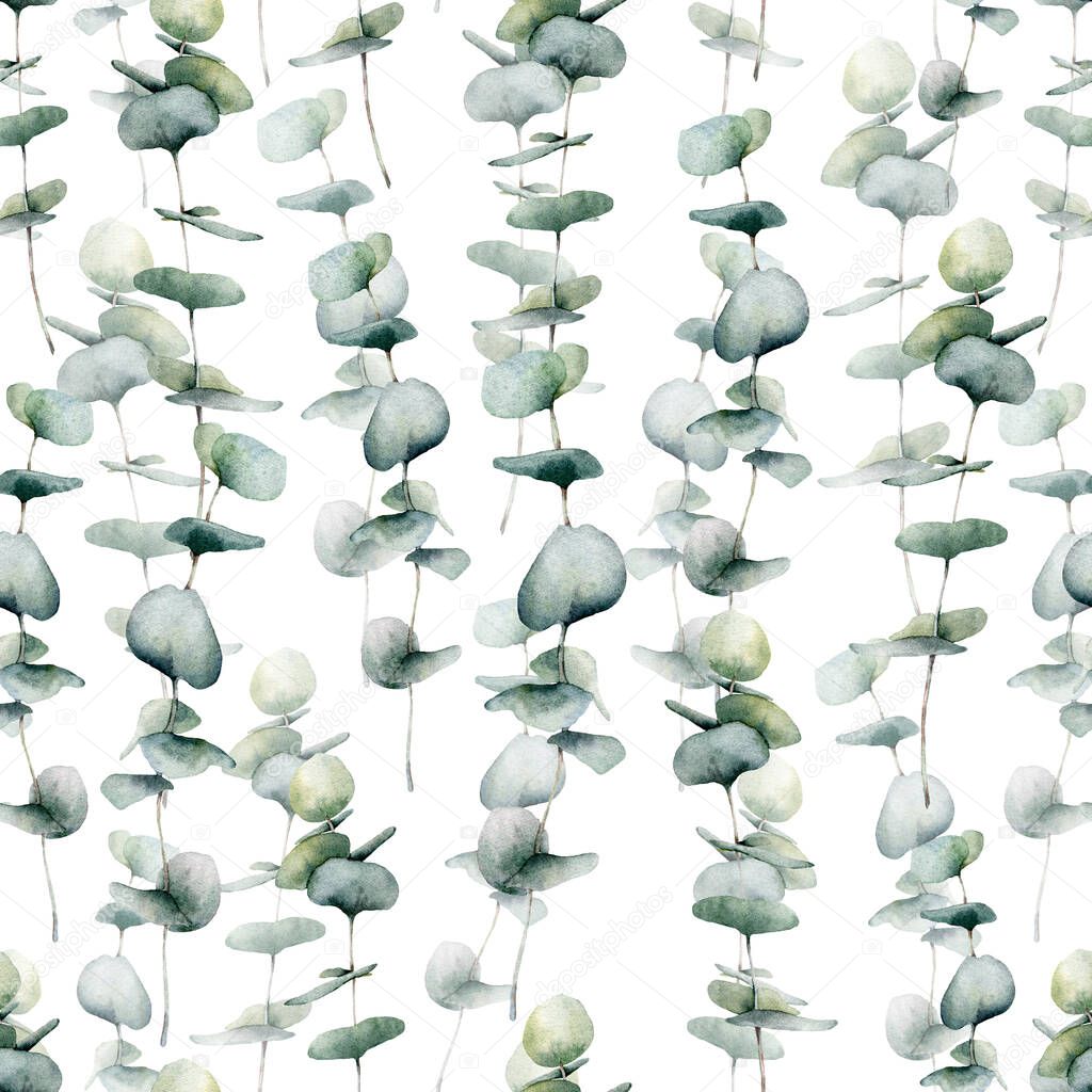 Watercolor seamless pattern with large baby blue eucalyptus. Hand painted eucalyptus round leaves and branch isolated on white background. Floral illustration for design, print, fabric or background.