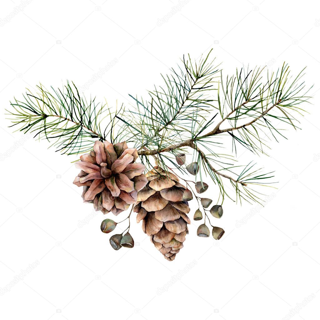 Watercolor botanical set with pine branches, cones and seeds. Hand painted winter holiday plants isolated on white background. Floral illustration for design, print, fabric or background.