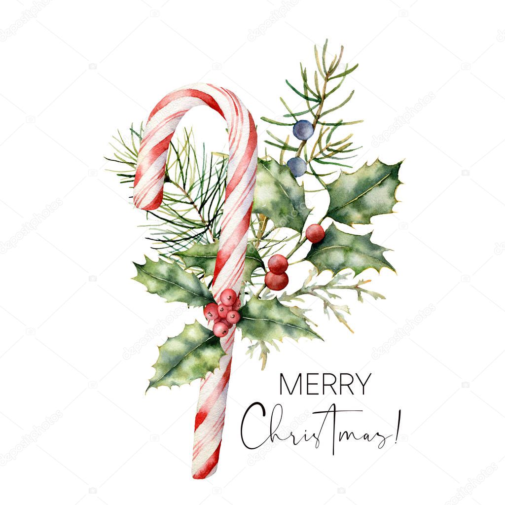 Watercolor Christmas cane with decor. Hand painted cane, striped lollipop, fir branch, holly and juniper isolated on white background. Sweet illustration for design, print, fabric or background.