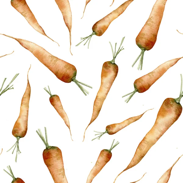 水彩画与胡萝卜无缝搭配.手绘食物隔离在白色背景上.用于设计、印刷或背景的花卉蔬菜插图。健康的生活. — 图库照片