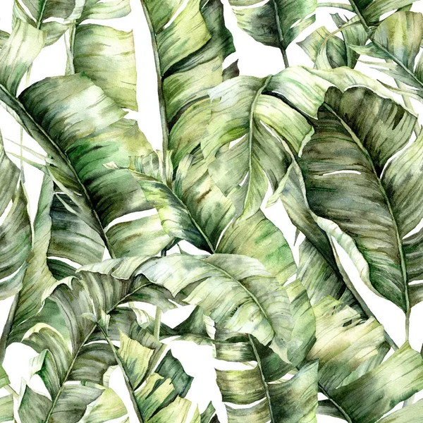 Padrão sem costura aquarela com folhas de banana da selva. Folhas exóticas pintadas à mão e ramos isolados no fundo branco. Ilustração tropical floral para desenho, impressão, tecido ou fundo . — Fotografia de Stock