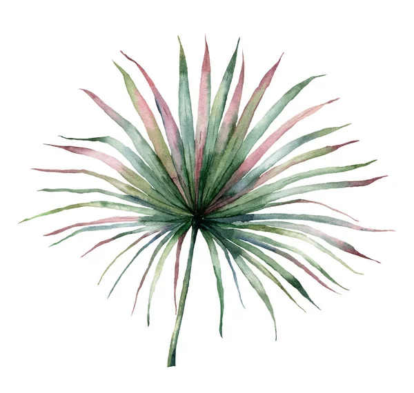 Yeşil ve pembe palmiye yapraklı suluboya tropikal kart. Beyaz arka planda el yapımı egzotik dallar. Tasarım, baskı, kumaş veya arkaplan için çiçek çizimi. Orman şablonu. — Stok fotoğraf