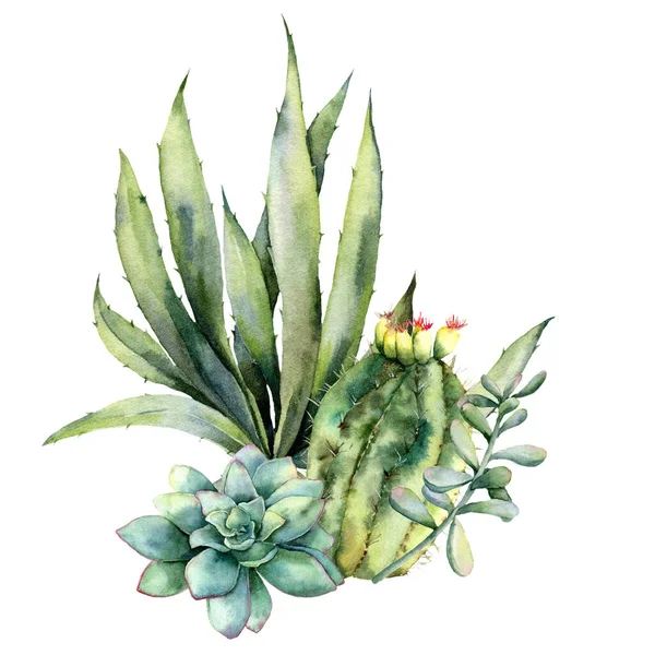 Akvarelová karta s kyticí kaktusů. Ručně malované agave, šťavnaté, echinocactus grusonii a cereálie izolované na bílém pozadí. Květinová ilustrace pro design, tkaniny, tisk nebo pozadí. — Stock fotografie