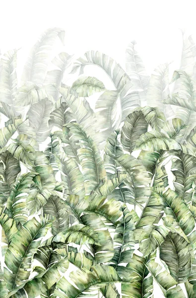 Borda sem costura vertical aquarela com folhas de banana. Folhas exóticas pintadas à mão e ramos da selva isolados no fundo branco. Ilustração tropical floral para design, impressão, tecido, fundo . — Fotografia de Stock