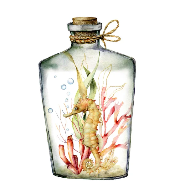 Akvarel pod vodou ve skleněné láhvi. Ručně malované mořské koníky, korály a laminaria ilustrace izolované na bílém pozadí. Vodní ilustrace pro design, tisk nebo pozadí. — Stock fotografie