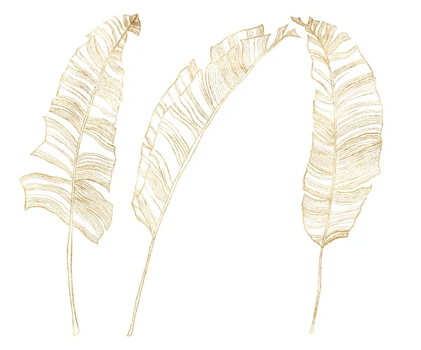 Akvarell tropisk linje konst som med banan gyllene grenar. Handmålade palmblad och kvistar isolerade på vit bakgrund. Blommig djungel illustration för design, tryck eller bakgrund. — Stockfoto