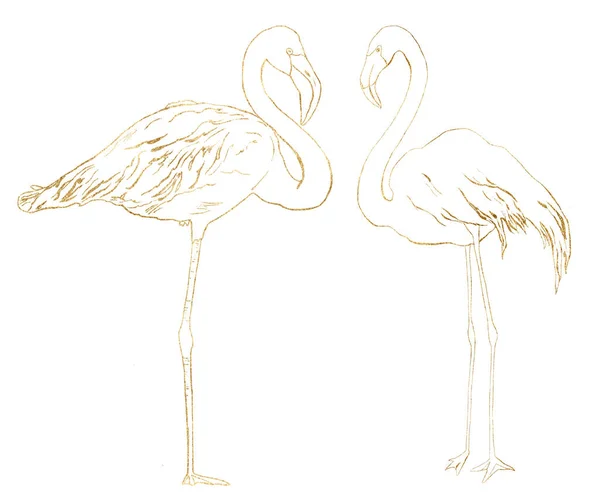 Aquarell tropische lineare Set mit zwei goldenen Flamingos. Handgezeichnete zarte Vögel für den Innenraum. Eine Darstellung der Tierwelt isoliert auf weißem Hintergrund für Design, Druck oder Hintergrund. — Stockfoto