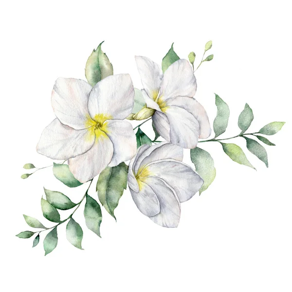 Akvarell trópusi készlet fehér pluméria és levelek. Kézzel festett trópusi virágok elszigetelt fehér háttér. Frangipani vagyok. Virágillusztráció tervezés, nyomtatás, szövet vagy háttér számára. — Stock Fotó