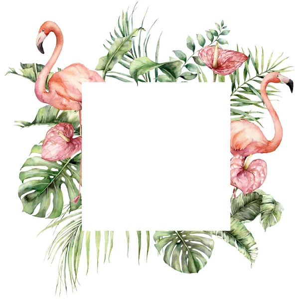 Υδατογραφία τροπικό πλαίσιο με ροζ φλαμίνγκο, monstera και ανθούριο. Ζωγραφισμένα στο χέρι πουλιά, λουλούδια και φύλλα φοίνικα. Floral απεικόνιση απομονώνονται σε λευκό φόντο για το σχεδιασμό, εκτύπωση. — Φωτογραφία Αρχείου