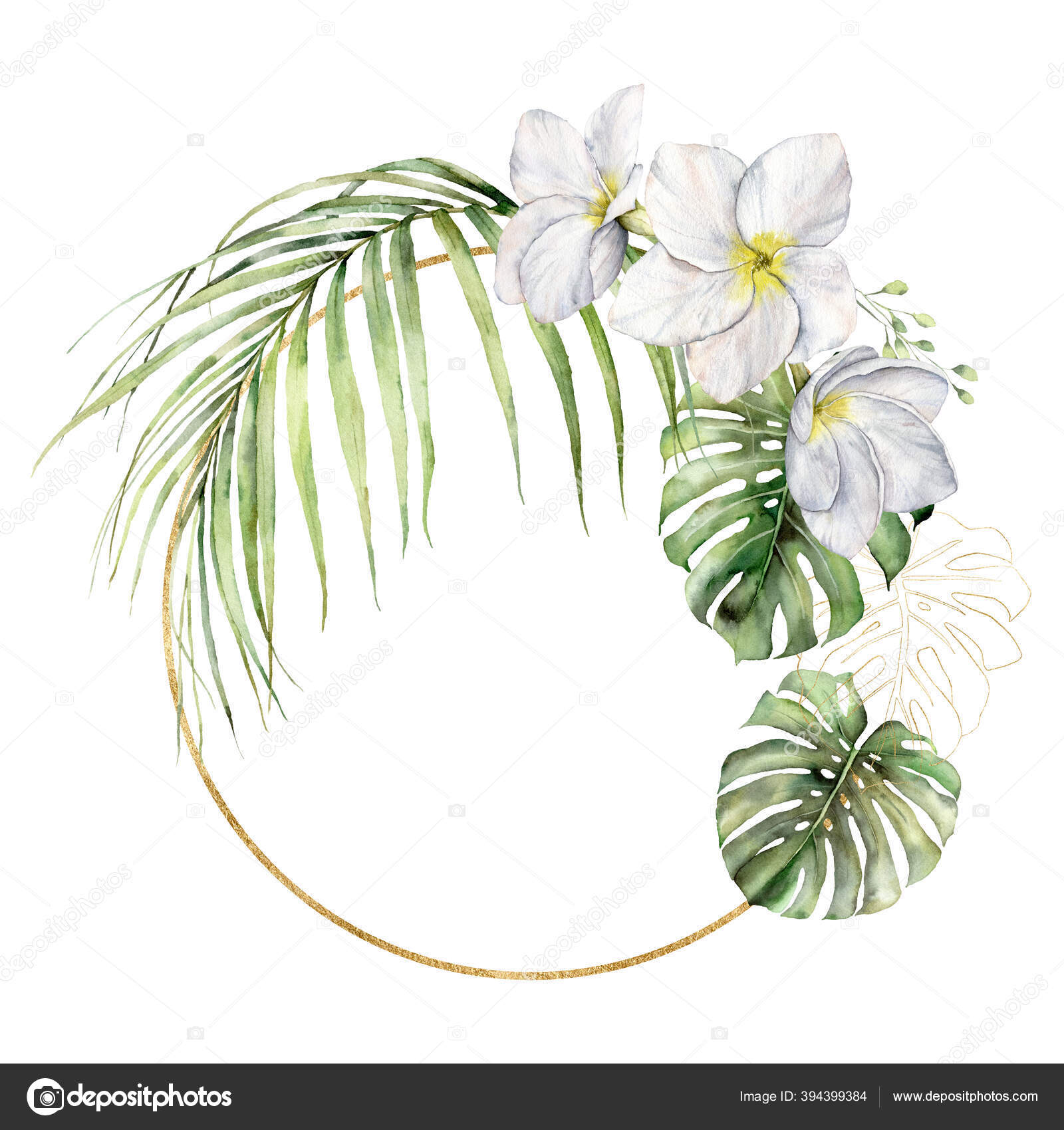プルメリアとヤシの葉を持つ水彩の黄金のフレーム 白を基調に熱帯の花やジャングルの緑を手描き フランジパニ 花のイラスト デザイン プリント 背景 ストック写真 C Derbisheva