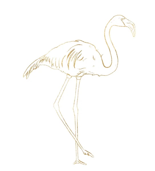 金色のフラミンゴと水彩熱帯セット。手は、インテリアのためのエキゾチックな線形の鳥を描いた。白を背景にデザイン、プリント、背景に隔離された野生生物のイラスト. — ストック写真