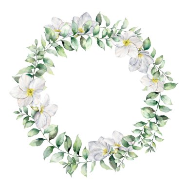 Plumeria ve okaliptüs yapraklı suluboya orman çerçevesi. El boyası tropik çiçekler ve beyaz arka planda izole edilmiş yeşillik. Frangipani. Tasarım, baskı veya arkaplan için çiçek illüstrasyonu.