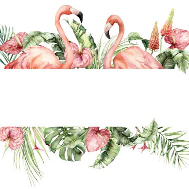 Pembe flamingo, lupin, canavar ve anthurium ile suluboya tropikal sınır. El boyaması kuşlar, çiçekler ve orman palmiyesi yaprakları. Tasarım ve baskı için beyaz arkaplanda izole edilmiş çiçek illüstrasyonu.