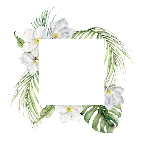 Aquarel jungle frame met loodgieterij en palmbladeren. Handgeschilderde tropische bloemen en jungle groen geïsoleerd op witte achtergrond. Frangipani. Bloemen illustratie voor ontwerp, print of achtergrond. — Stockfoto