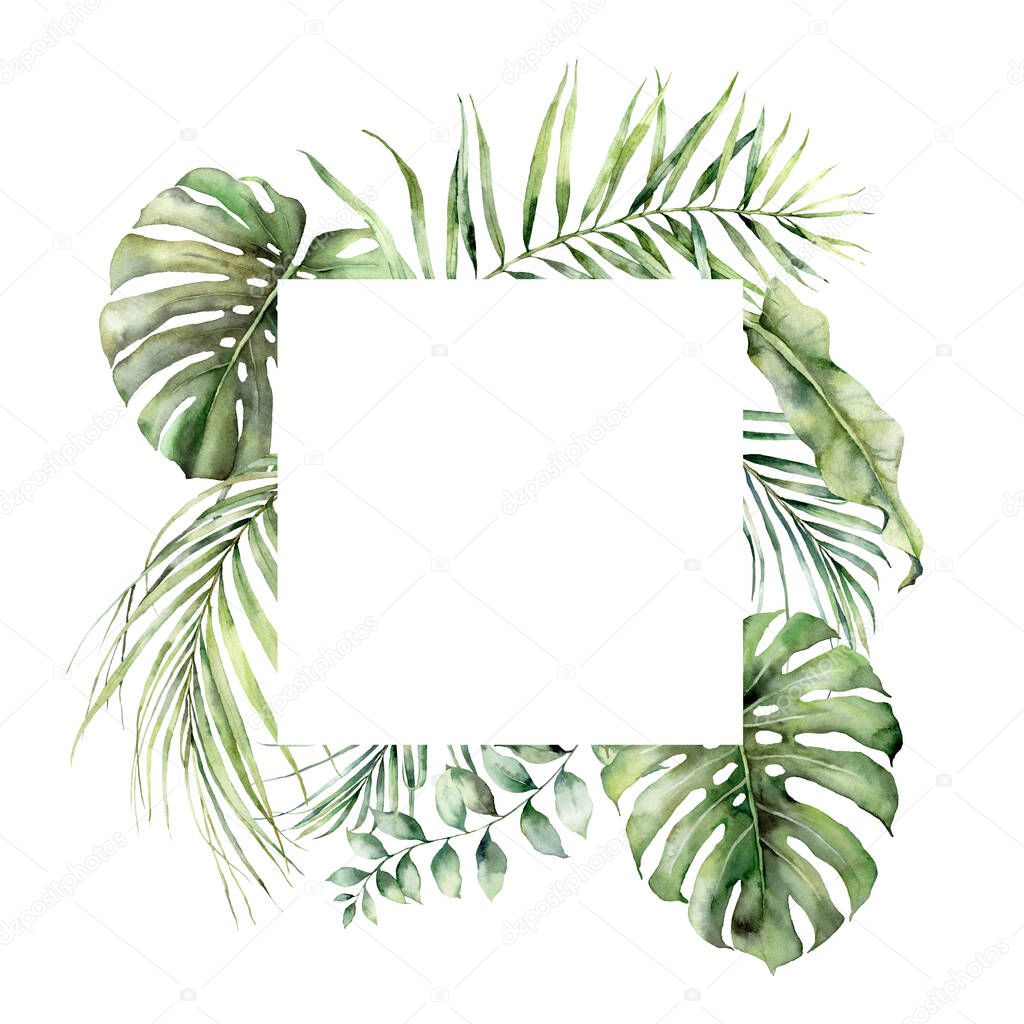 Watercolor tropical border with monstera, coconut and eucalyptus leaves. Hand painted exotic palm leaves isolated on white background. Floral jungle illustration for design, print, fabric, background.