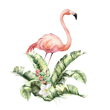 Pembe flamingo, beyaz plumeria ve dut buketli suluboya tropikal kart. Beyaz arka planda el boyaması kuş, yapraklar ve çiçekler. Tasarım, baskı veya kumaş için çiçek çizimi.