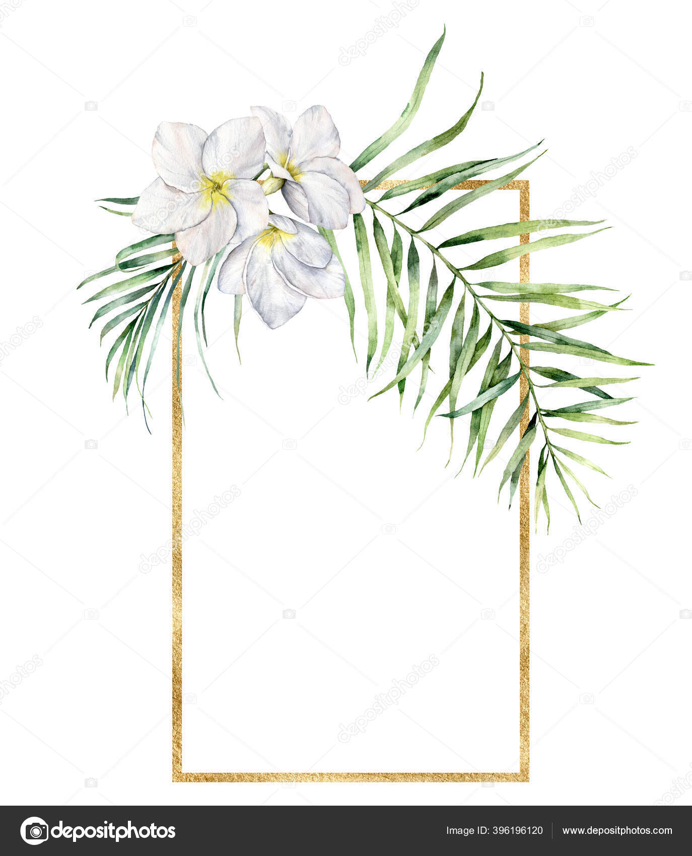 プルメリアとヤシの枝と水彩ゴールドフレーム 手で熱帯の緑 葉や花を描いた デザイン プリント ファブリック 背景のための白い背景に隔離された花のジャングルイラスト ストック写真 C Derbisheva