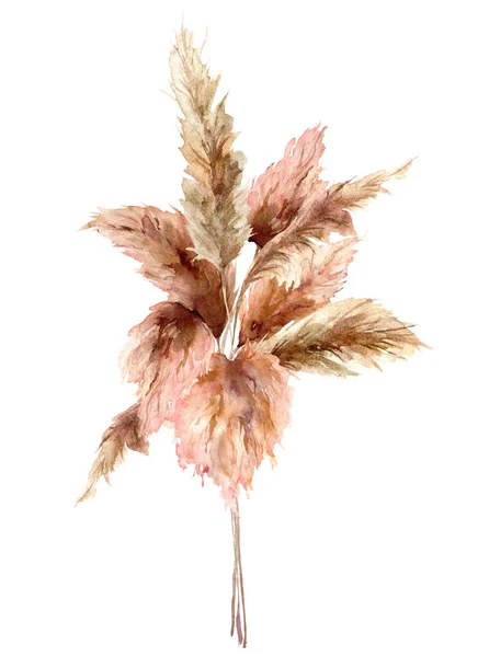 Bouquet tropicale acquerello con pampas erba secca. Carta esotica dipinta a mano isolata su sfondo bianco. Illustrazione floreale per design, stampa, tessuto o sfondo. — Foto Stock