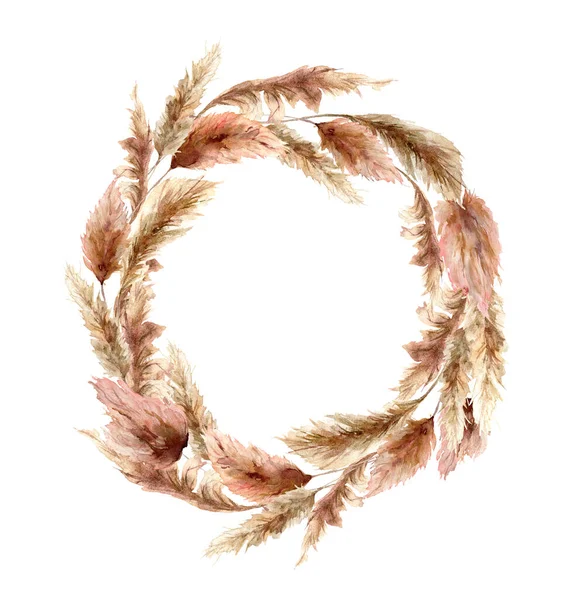 乾燥したパンパス草と水の色の花輪。手描きのエキゾチックな葉は白い背景に隔離されています。デザイン、プリント、ファブリックまたは背景のための花のイラスト. — ストック写真