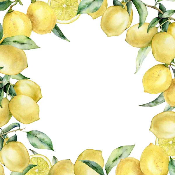 Akvarell tropisk gräns med citron och blad. Handmålade exotiska kort med växt isolerad på vit bakgrund. Blommig illustration för design, tryck, tyg eller bakgrund. — Stockfoto