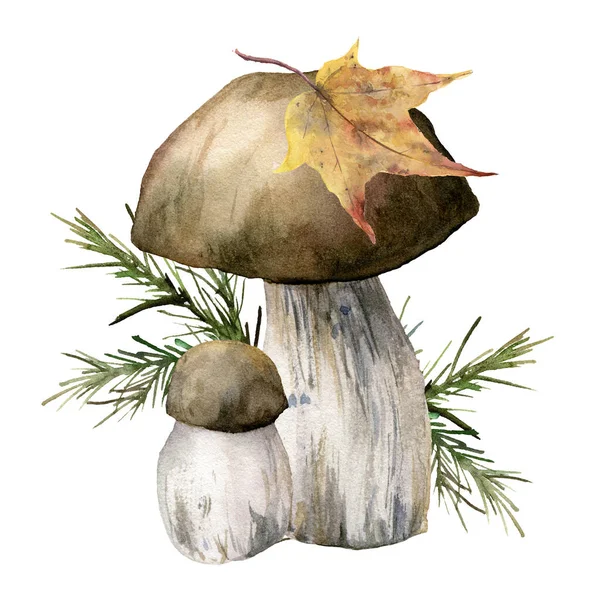 带有蘑菇、叶子和针头的水彩卡片。手绘的柱头孤立在白色背景上。用于设计、印刷或背景的植物森林图解. — 图库照片