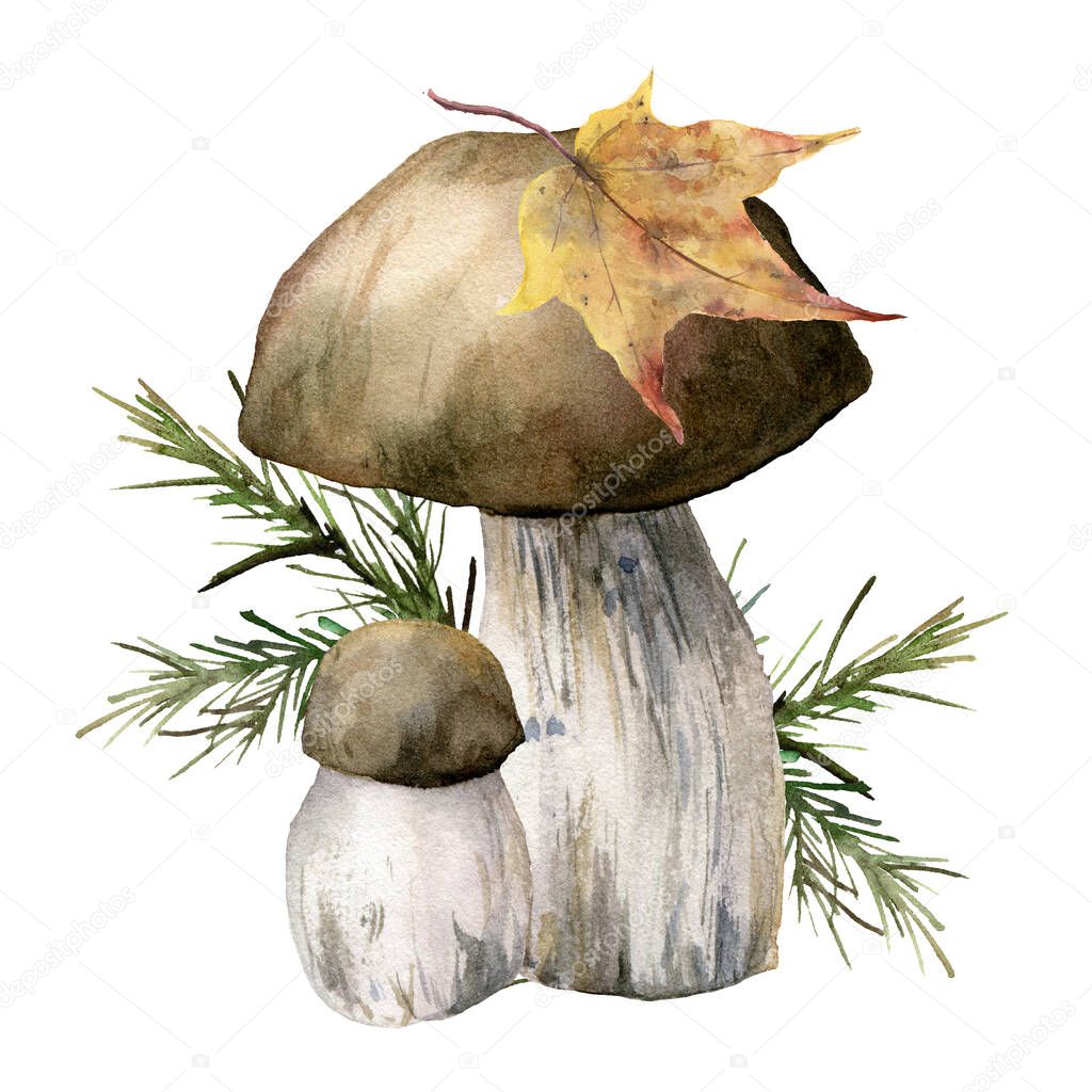 Watercolor autumn card with mushrooms, leaf and needles. Hand painted boletus isolated on white background. Botanical forest illustration for design, print or background