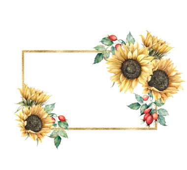 Ayçiçekleri, böğürtlenler ve yapraklarla suluboya altın çerçevesi. Beyaz arka planda elle boyanmış kırsal kart. Tasarım, baskı, kumaş veya arkaplan için çiçek çizimi.