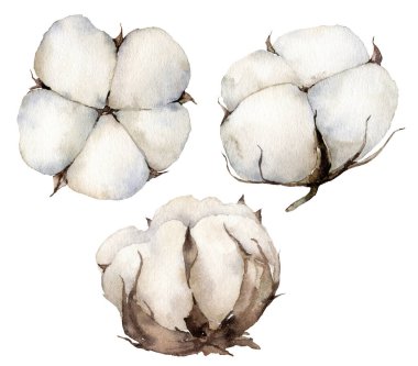 Pamuklu suluboya sonbahar seti. Beyaz arka planda elle boyanmış kırsal kart. Tasarım, baskı, kumaş veya arkaplan için çiçek çizimi.