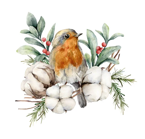 Cartão aquarela com robin redbreast, algodão, bagas e folhas. Pássaro pintado à mão e flores isoladas sobre fundo branco. Ilustração floral para desenho, impressão, tecido ou fundo. — Fotografia de Stock