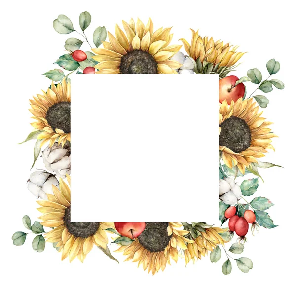 Podzimní akvarel se slunečnicemi, eukalyptovými větvemi, bavlnou a bobulemi. Ručně malované rustikální karta izolované na bílém pozadí. Květinová ilustrace pro design, tisk, tkaniny nebo pozadí. — Stock fotografie