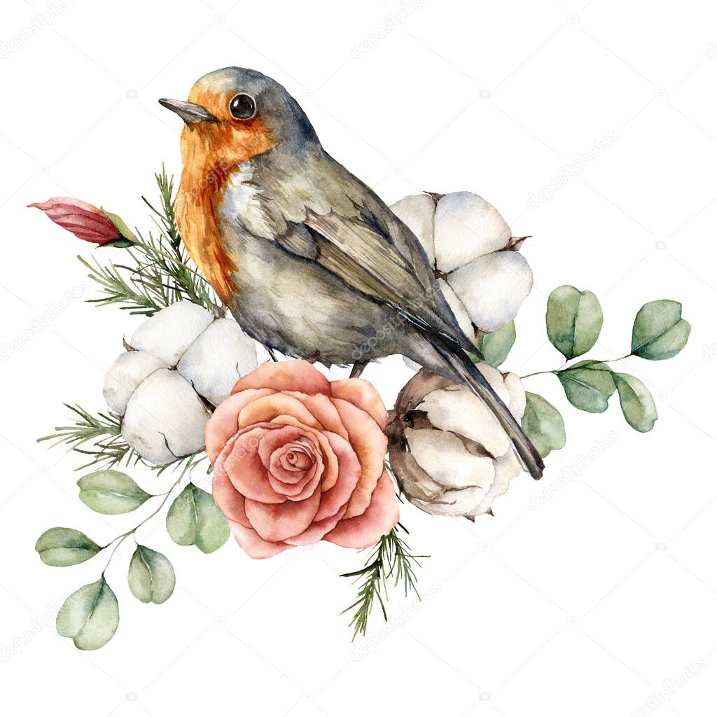 Watercolor card with robin redbreast, cotton, rose and eucalyptus leaves. Hand painted bird and flowers isolated on white background. Floral illustration for design, print, fabric or background.
